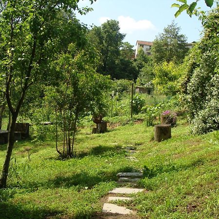 Appartamento In Monferrato Di Dominga Portacomaro Exterior foto