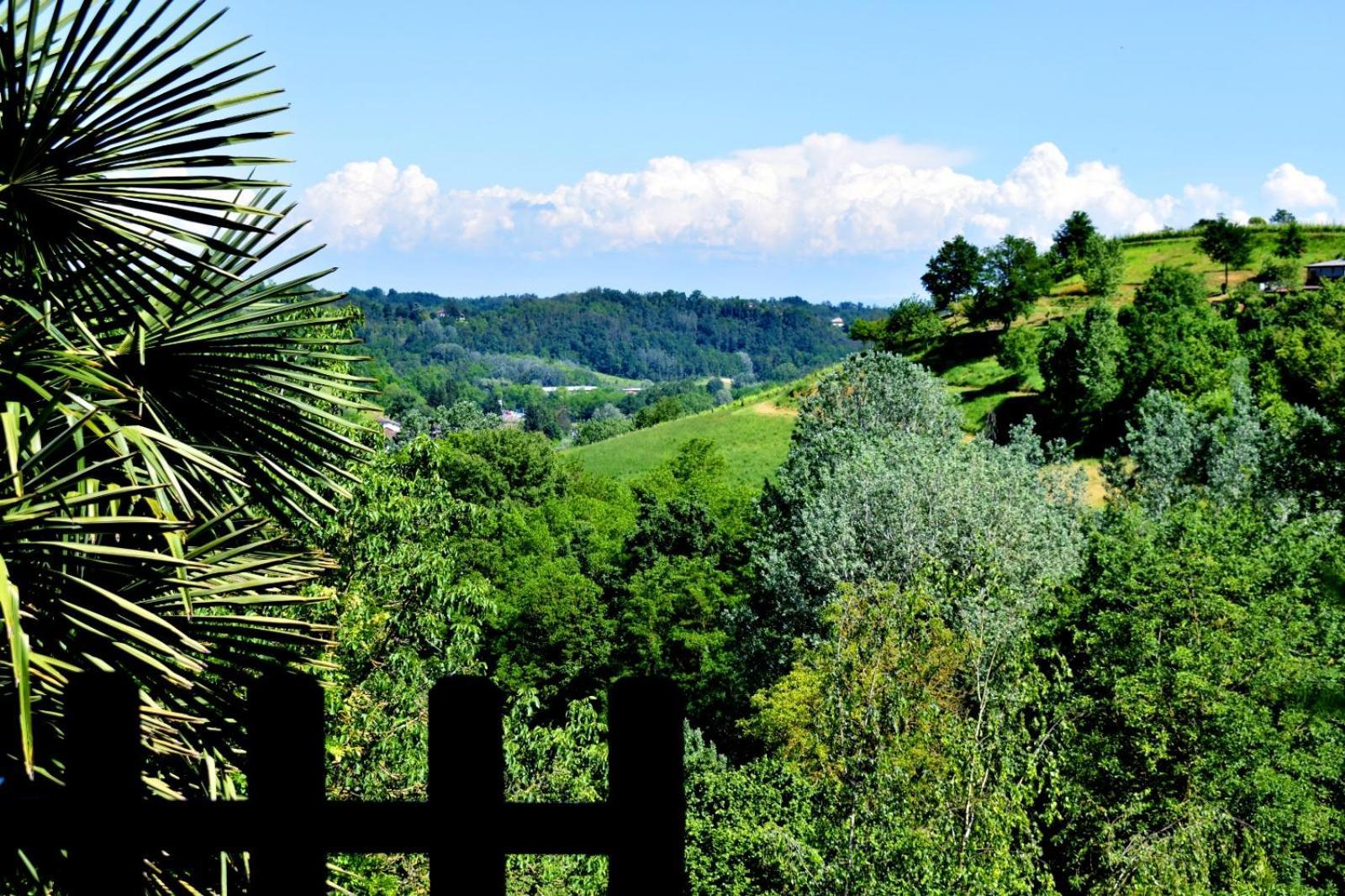 Appartamento In Monferrato Di Dominga Portacomaro Exterior foto