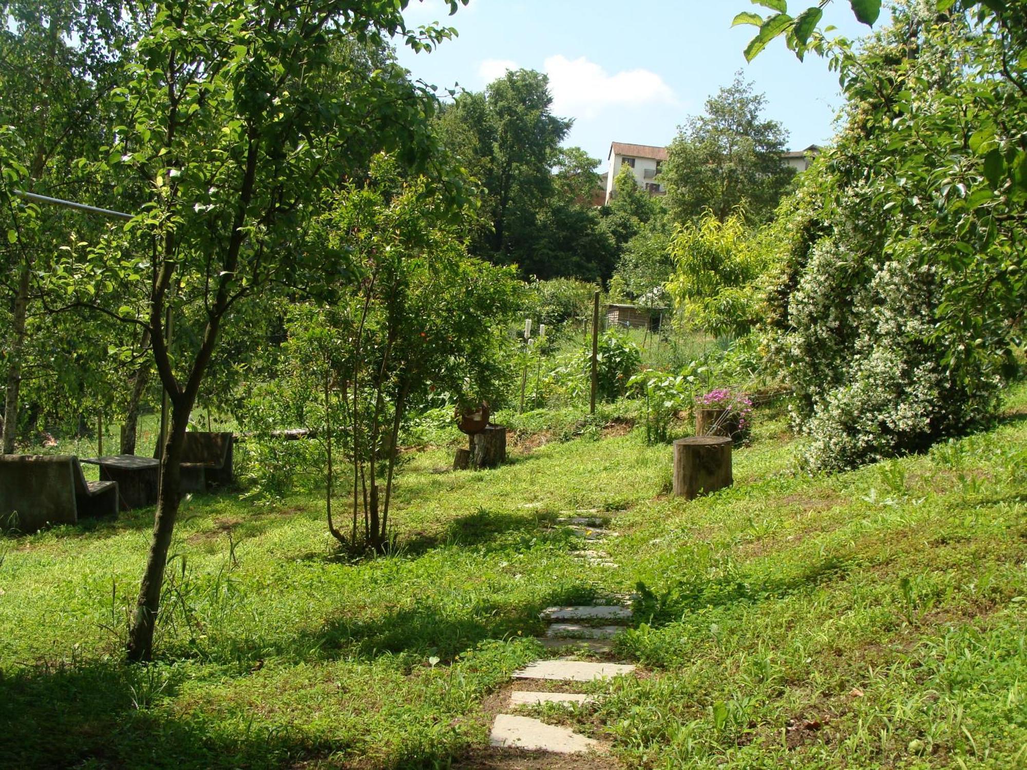 Appartamento In Monferrato Di Dominga Portacomaro Exterior foto