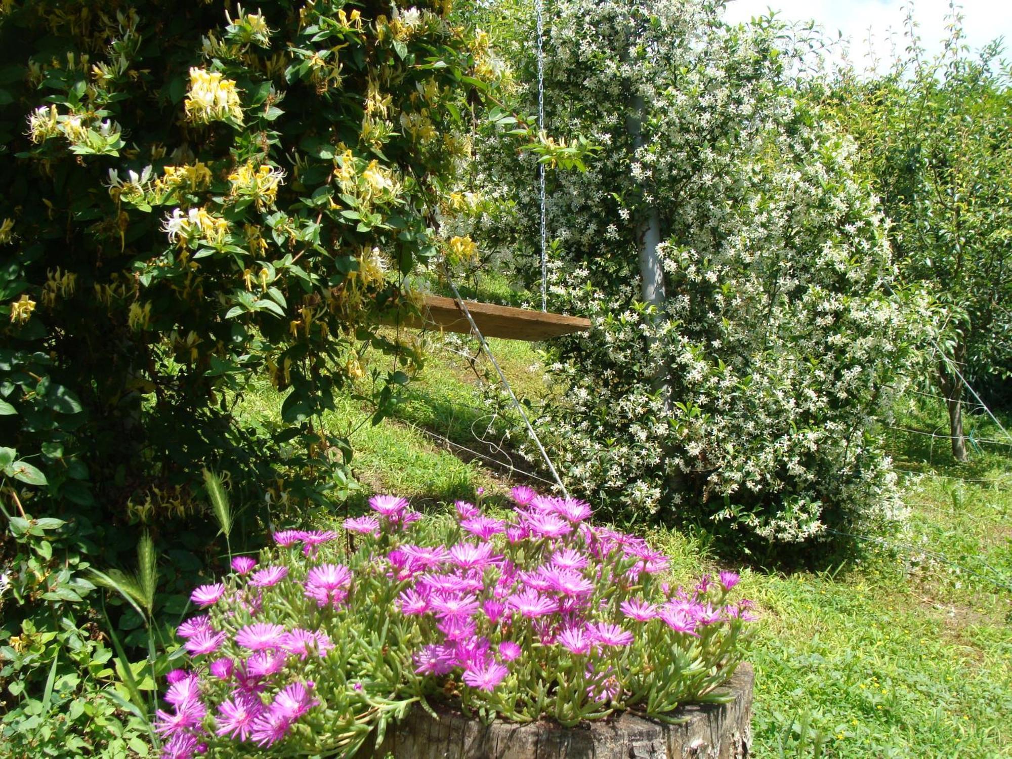 Appartamento In Monferrato Di Dominga Portacomaro Exterior foto